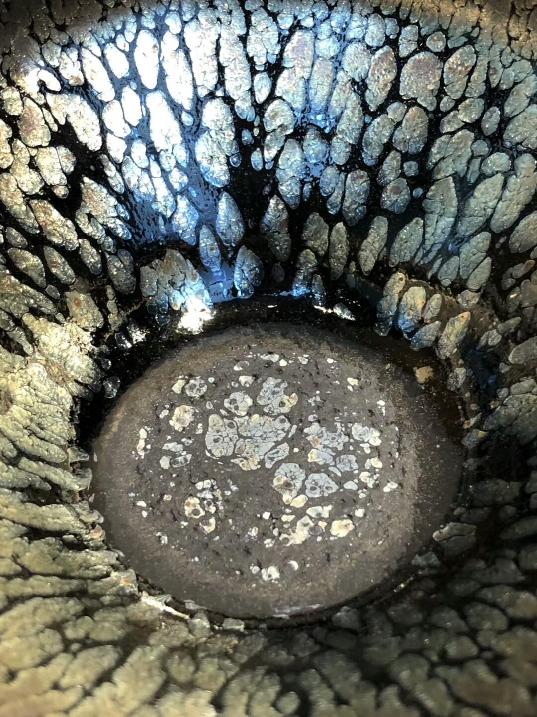 大束囗 鷓鴣斑  泰斗 李達(dá)老師作品