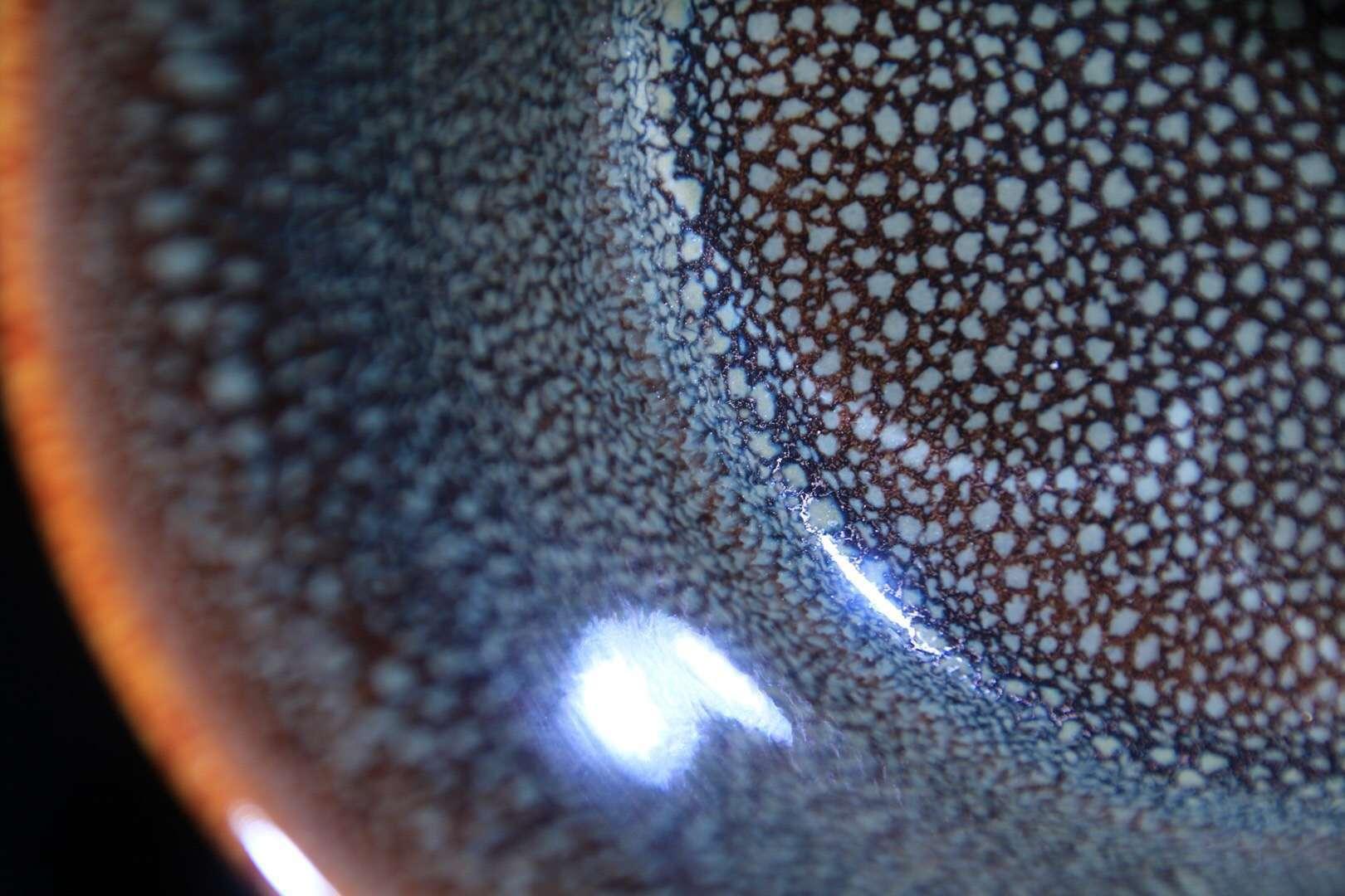 作者：范澤鋒老師    “歲寒三友” 【竹】堅毅不撥的青松，挺撥多姿的翠竹