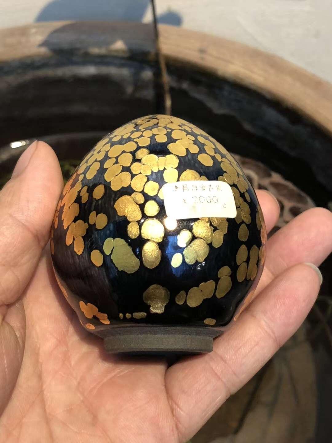 mmexport1550302616236