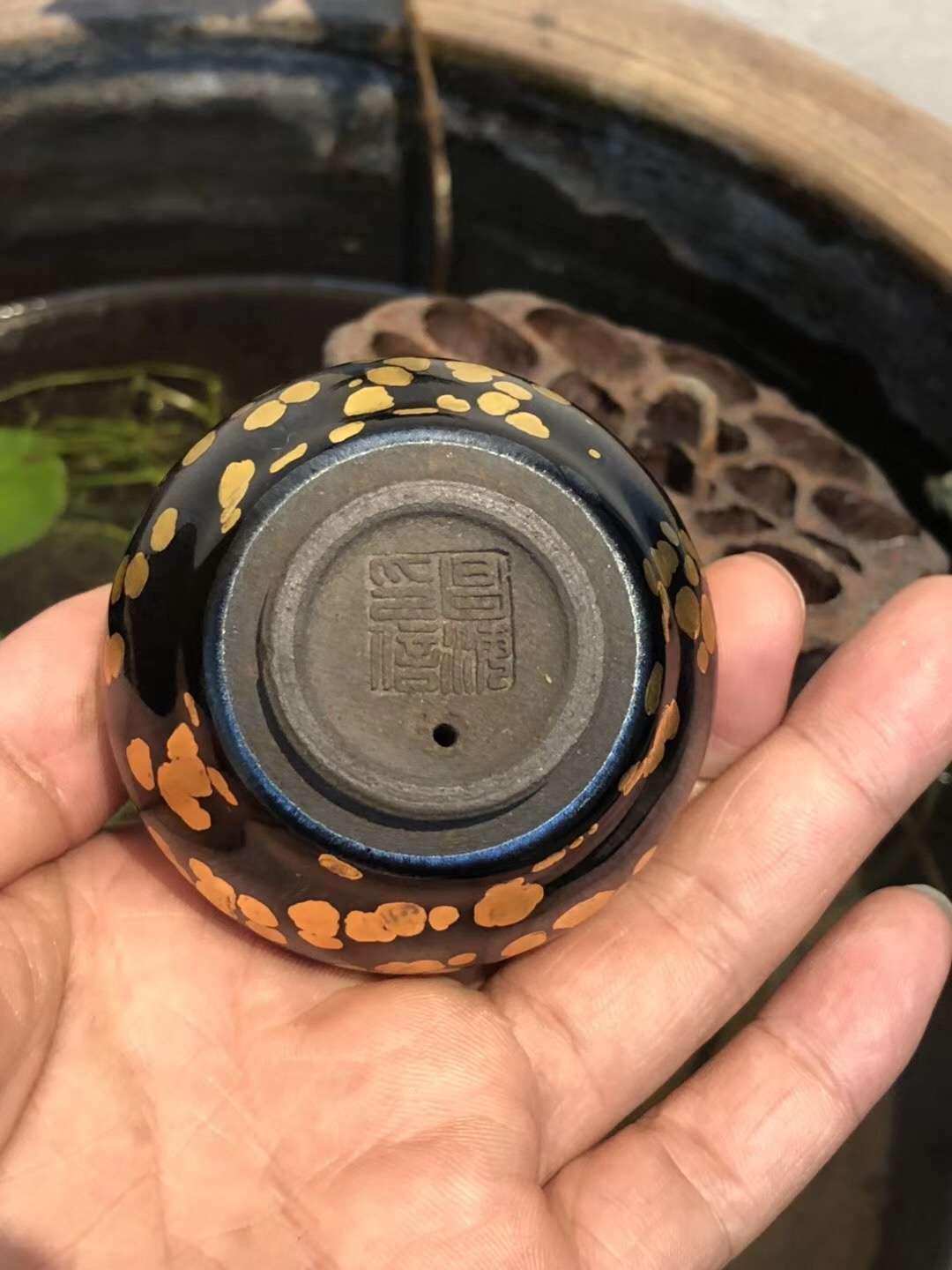 mmexport1550302620939