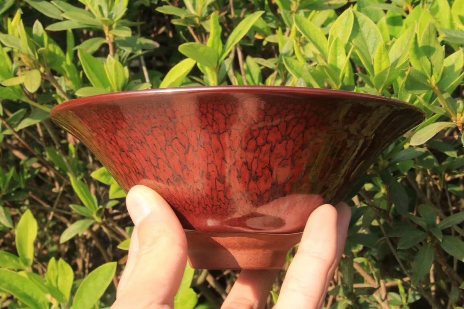 mmexport1550302765002