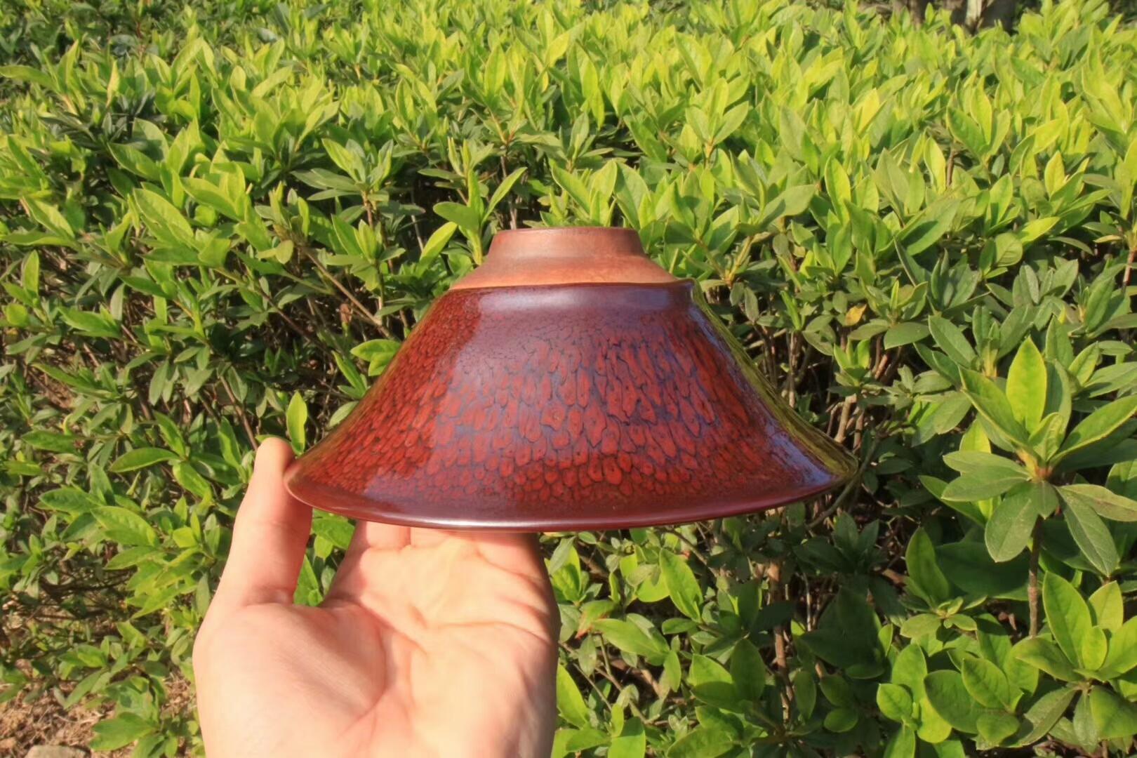 mmexport1550302767497