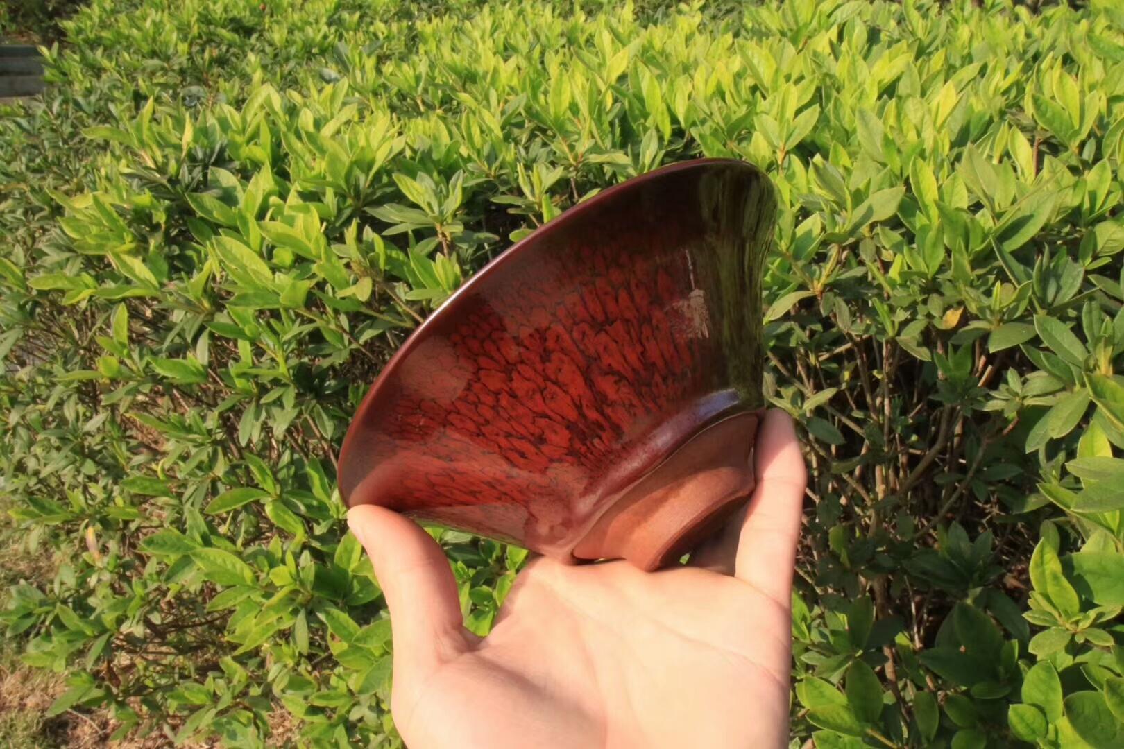 mmexport1550302769815