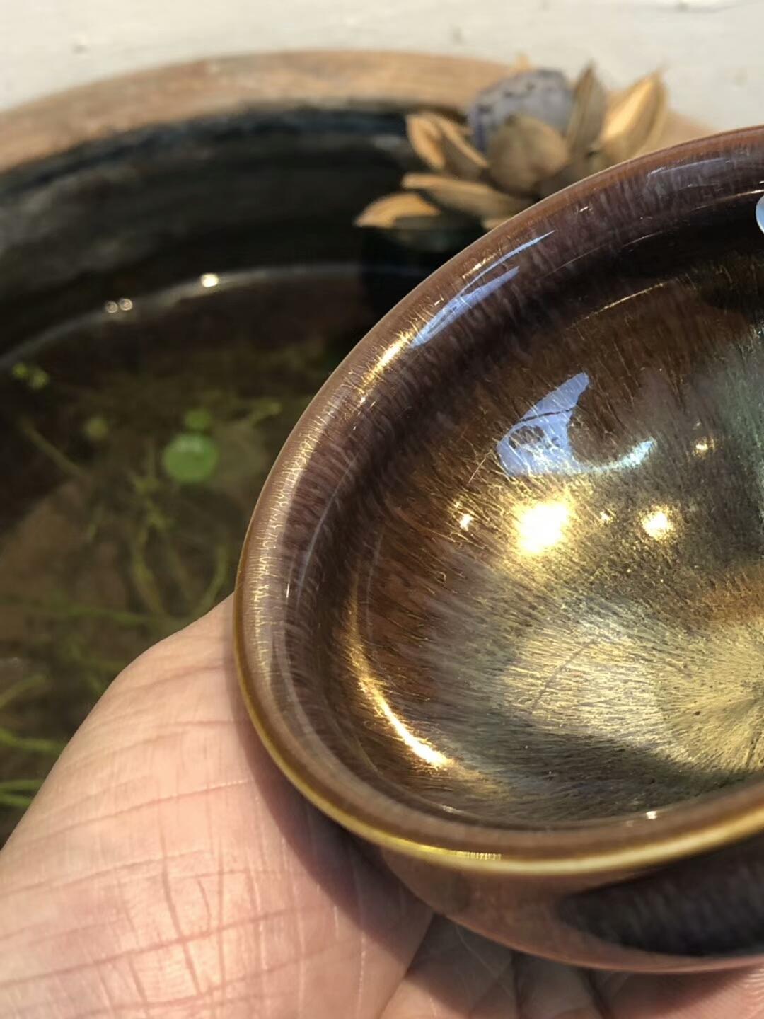 mmexport1550468673858