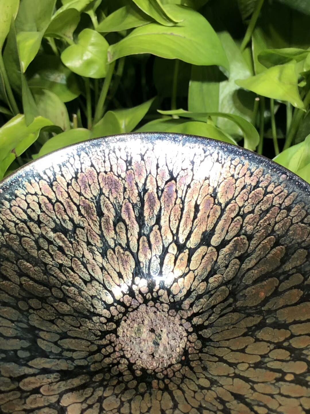 mmexport1550468969724