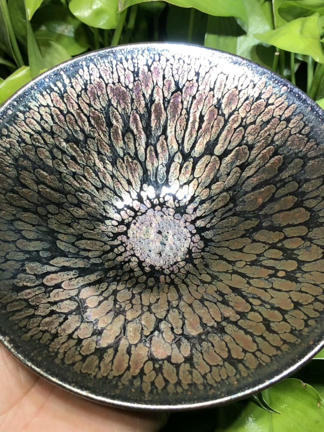 mmexport1550468974067