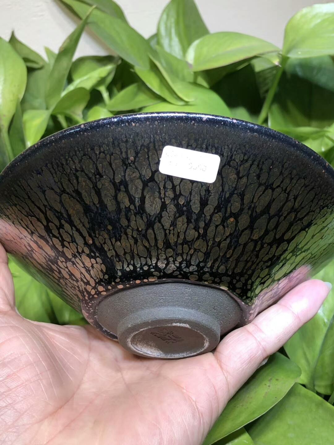 mmexport1550468978819