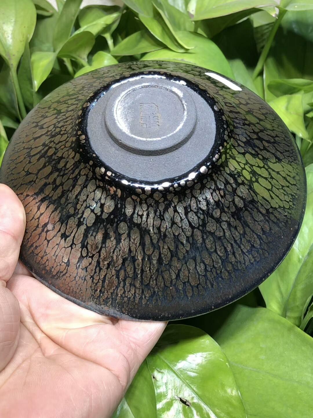 mmexport1550468981017