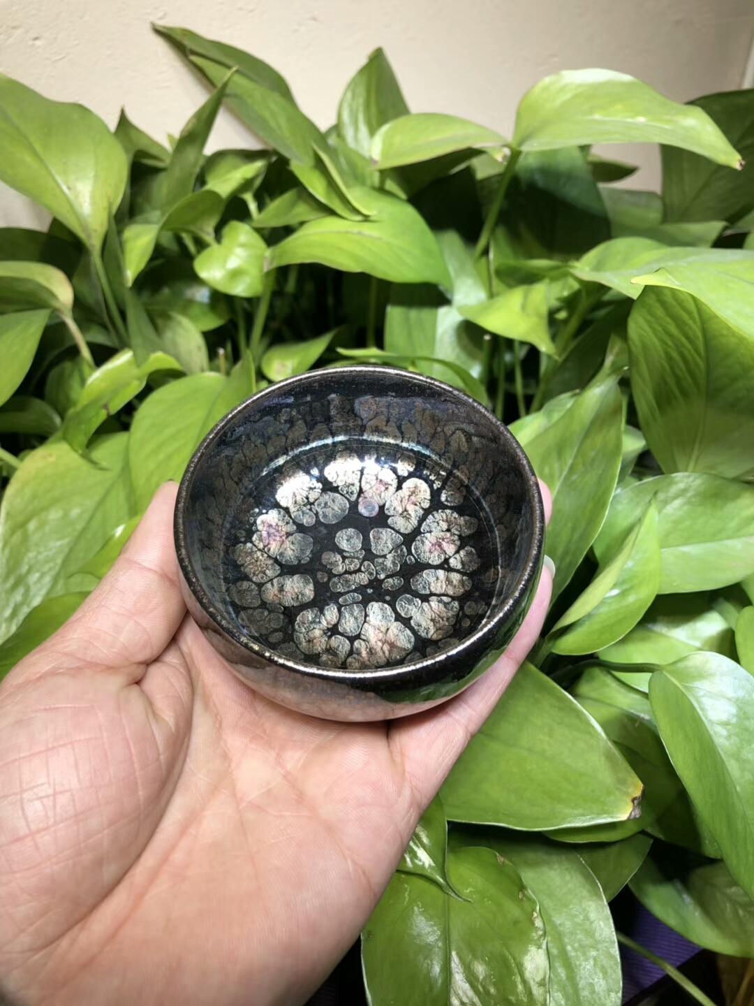 第一品牌 飛惺  彩鉆鷓鴣斑  禪定型