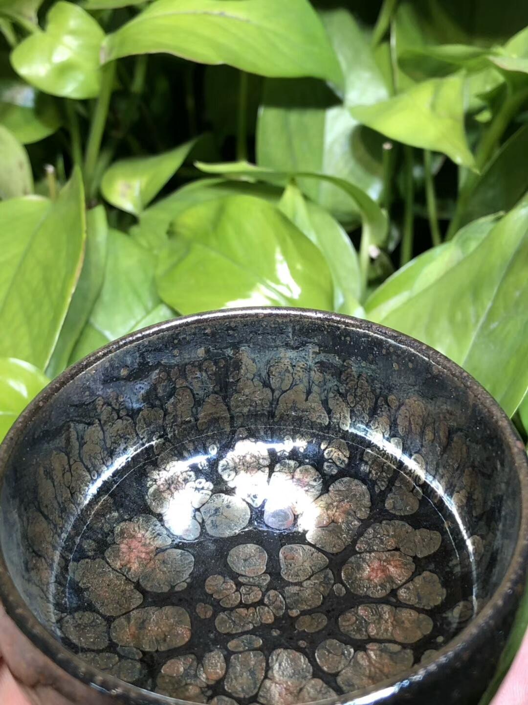 第一品牌 飛惺  彩鉆鷓鴣斑  禪定型