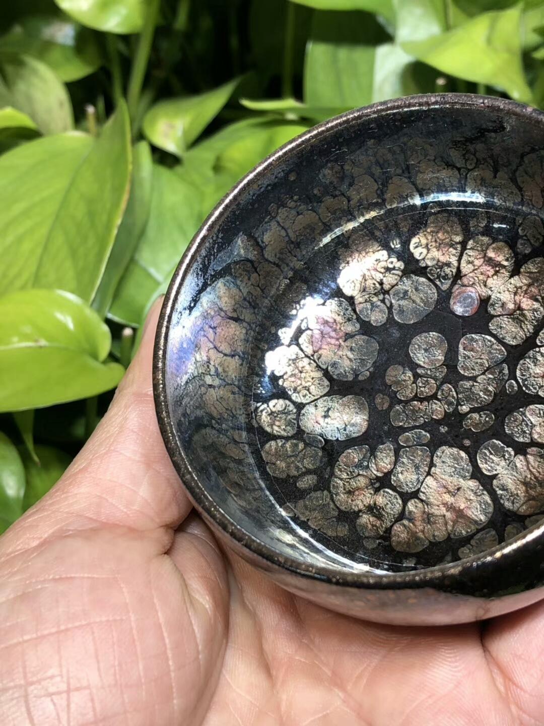 第一品牌 飛惺  彩鉆鷓鴣斑  禪定型