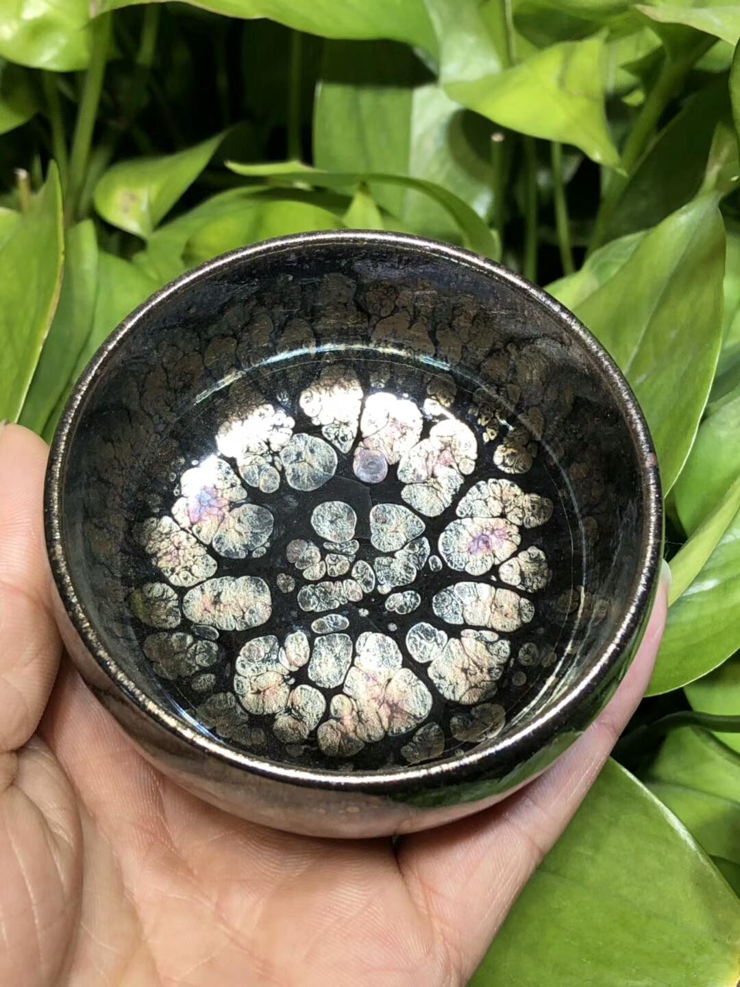 第一品牌 飛惺  彩鉆鷓鴣斑  禪定型