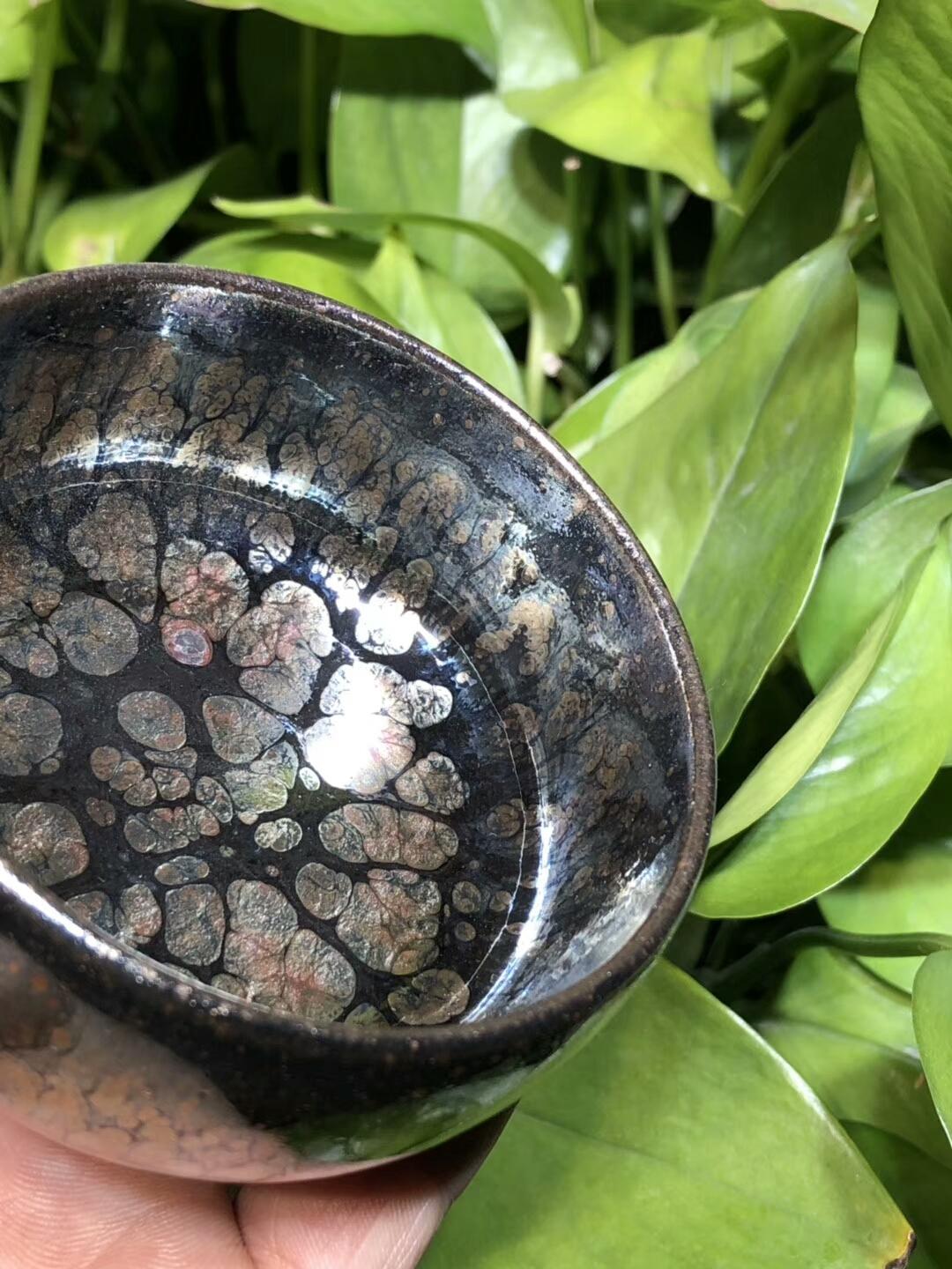 第一品牌 飛惺  彩鉆鷓鴣斑  禪定型