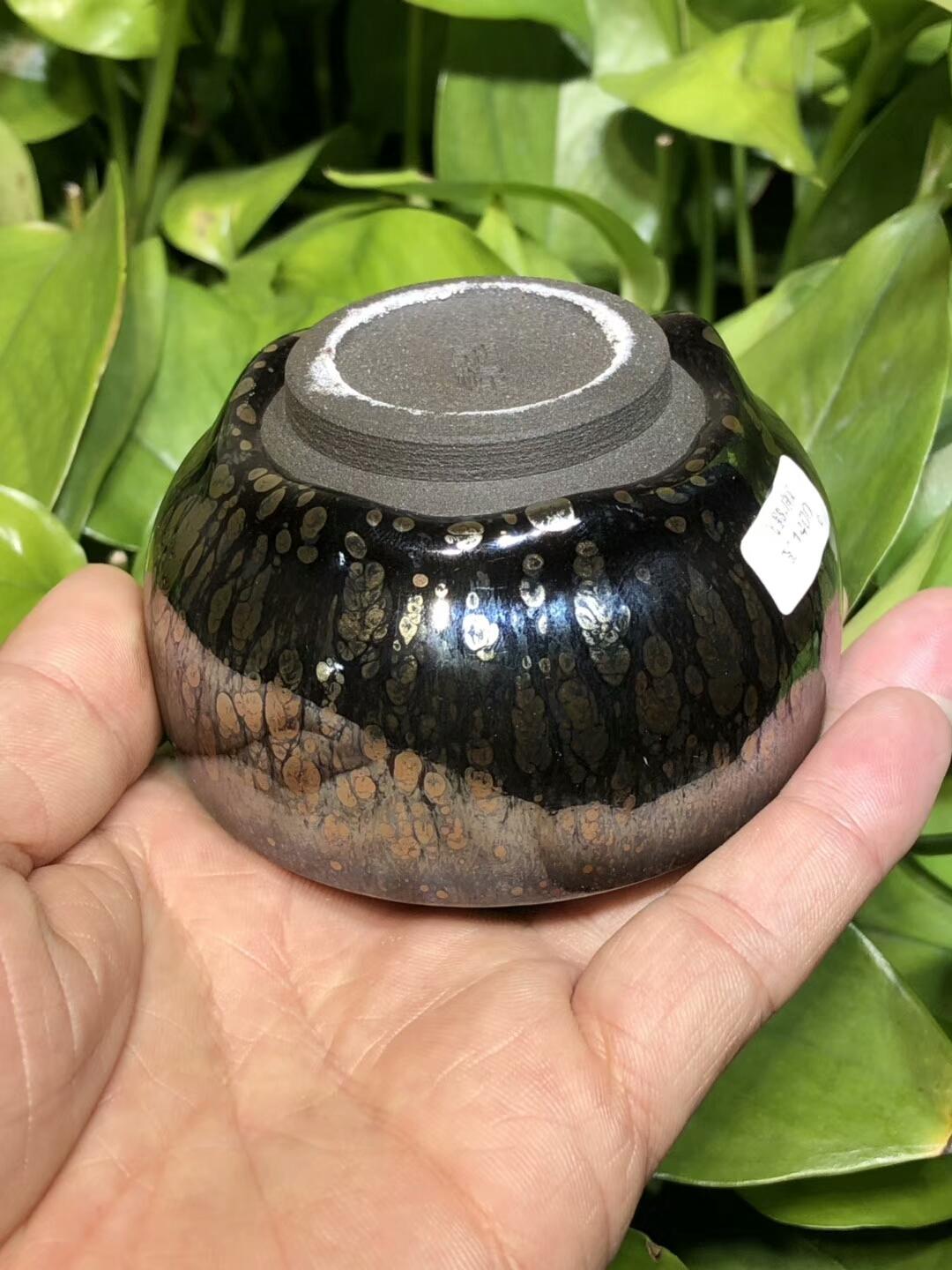 第一品牌 飛惺  彩鉆鷓鴣斑  禪定型