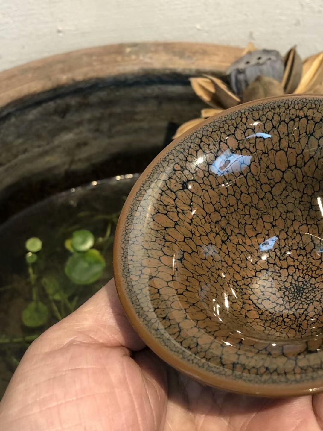 mmexport1550651695986