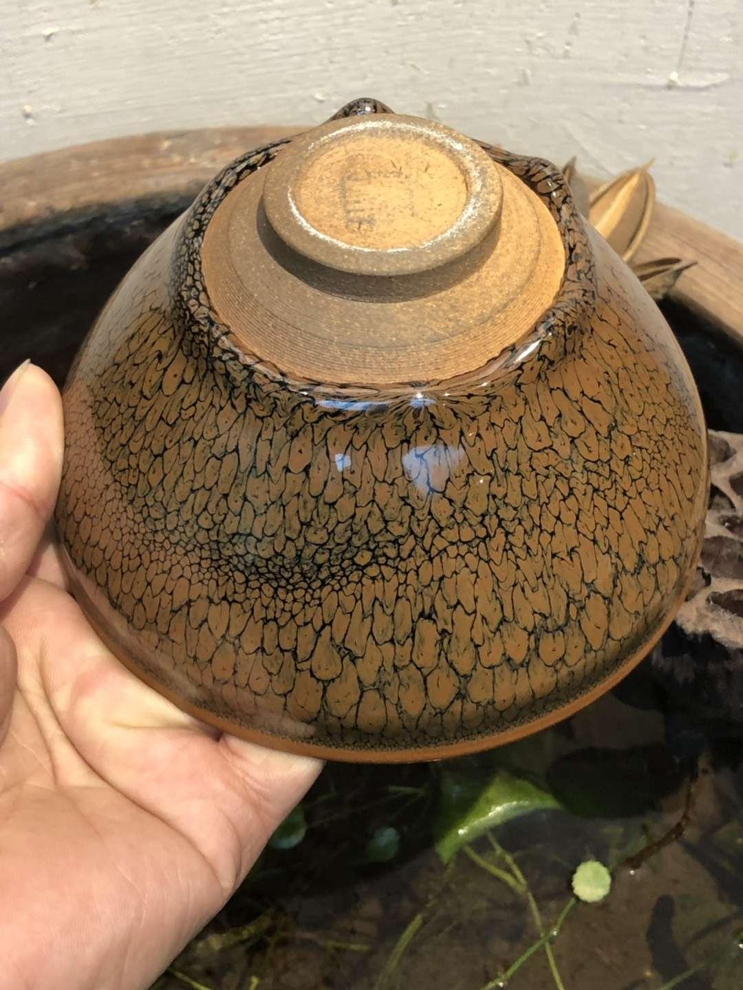 mmexport1550736509090