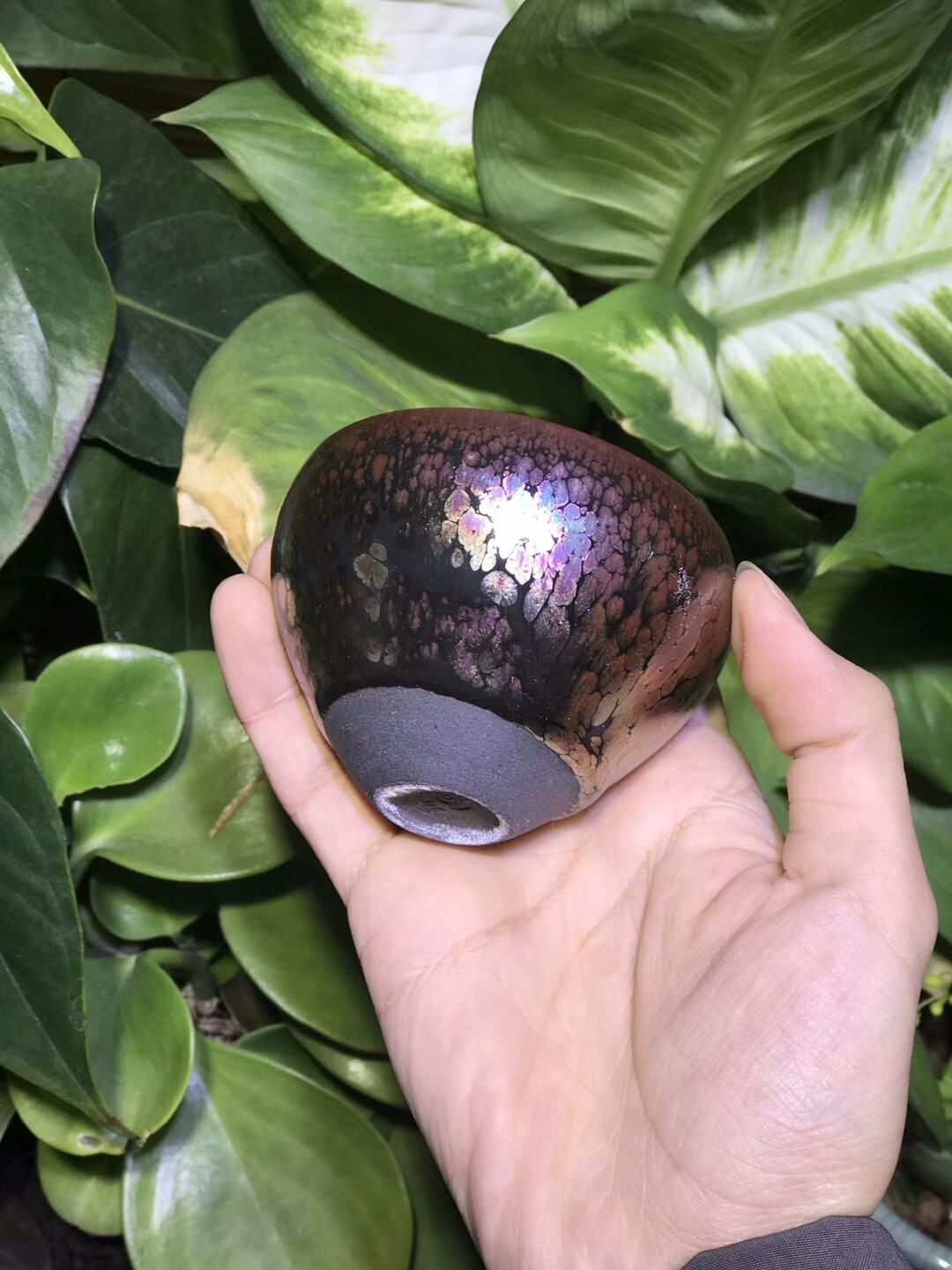 mmexport1550738158482