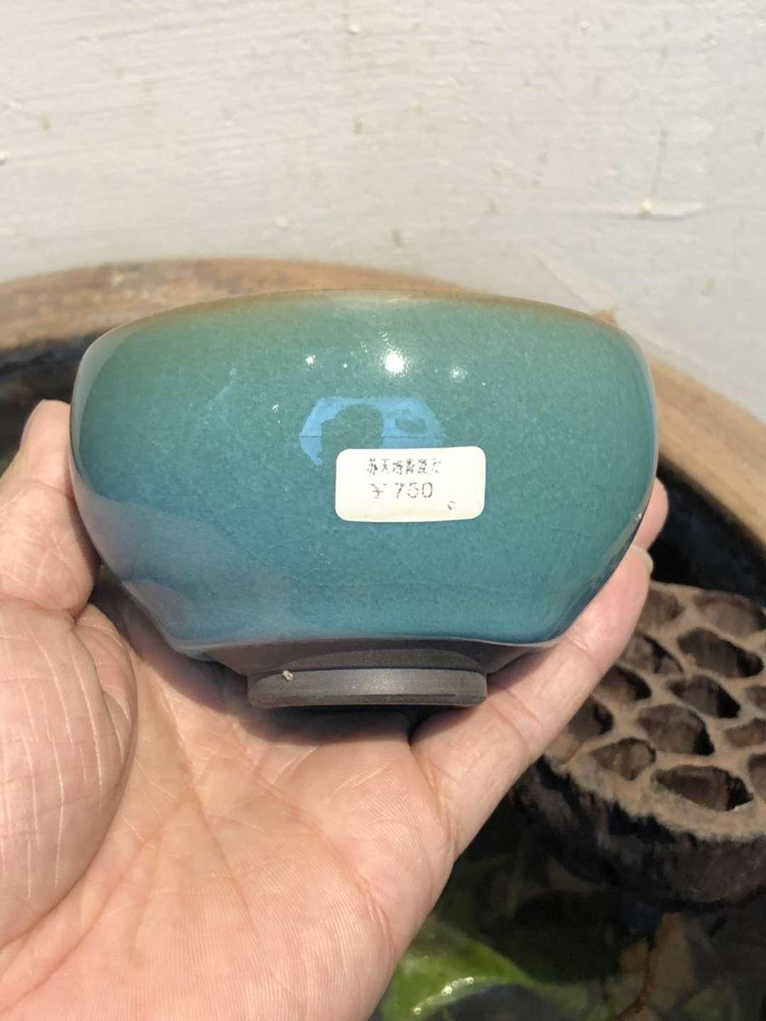 mmexport1550802538361