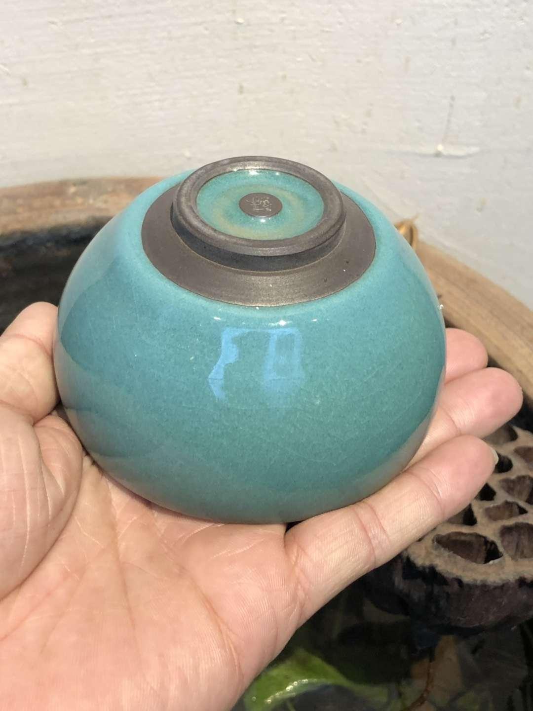 mmexport1550802540777