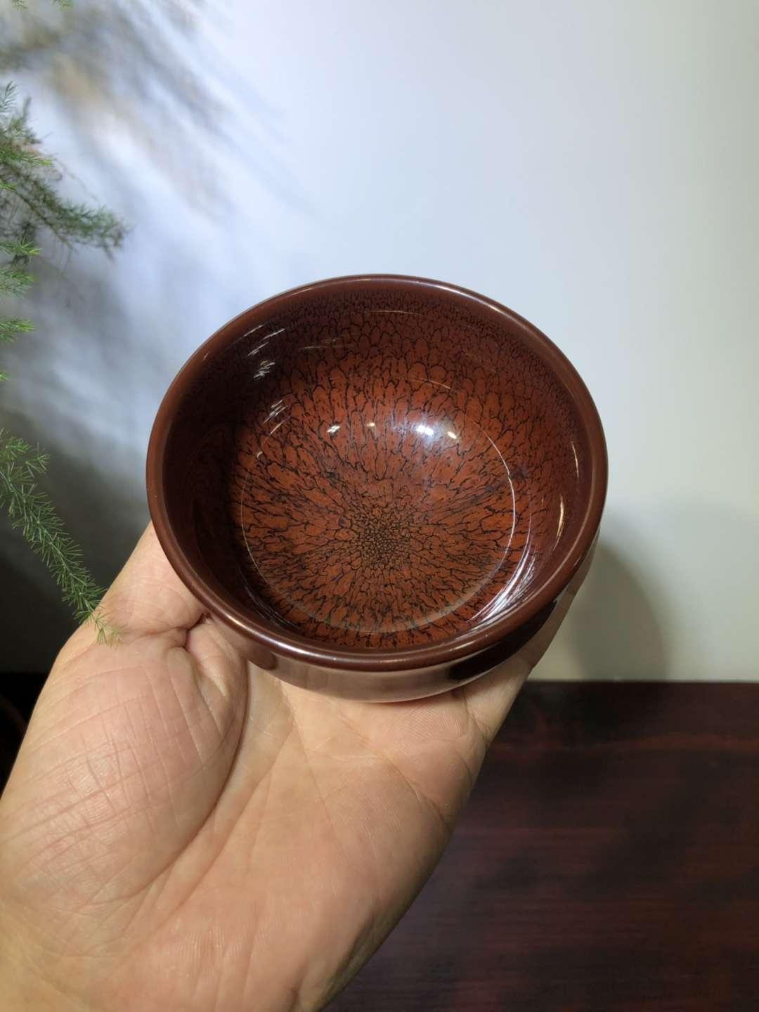 mmexport1550814595501