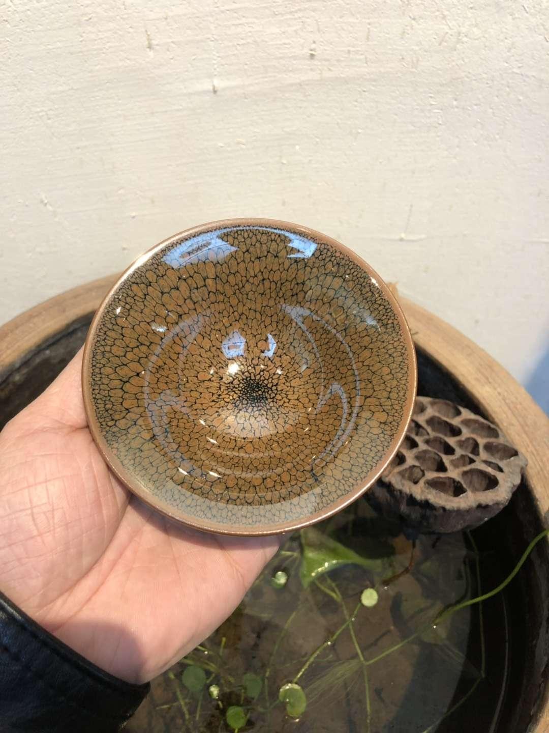 經(jīng)典款 10.5 鷓鴣斑  陳大鵬老師作品