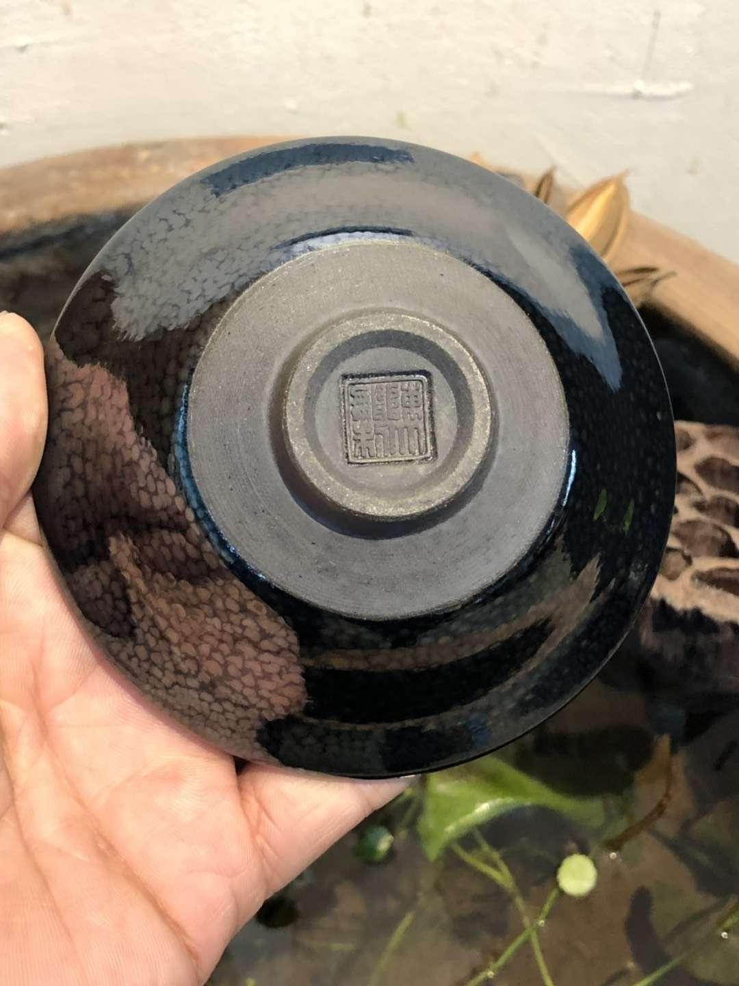 mmexport1550818203950