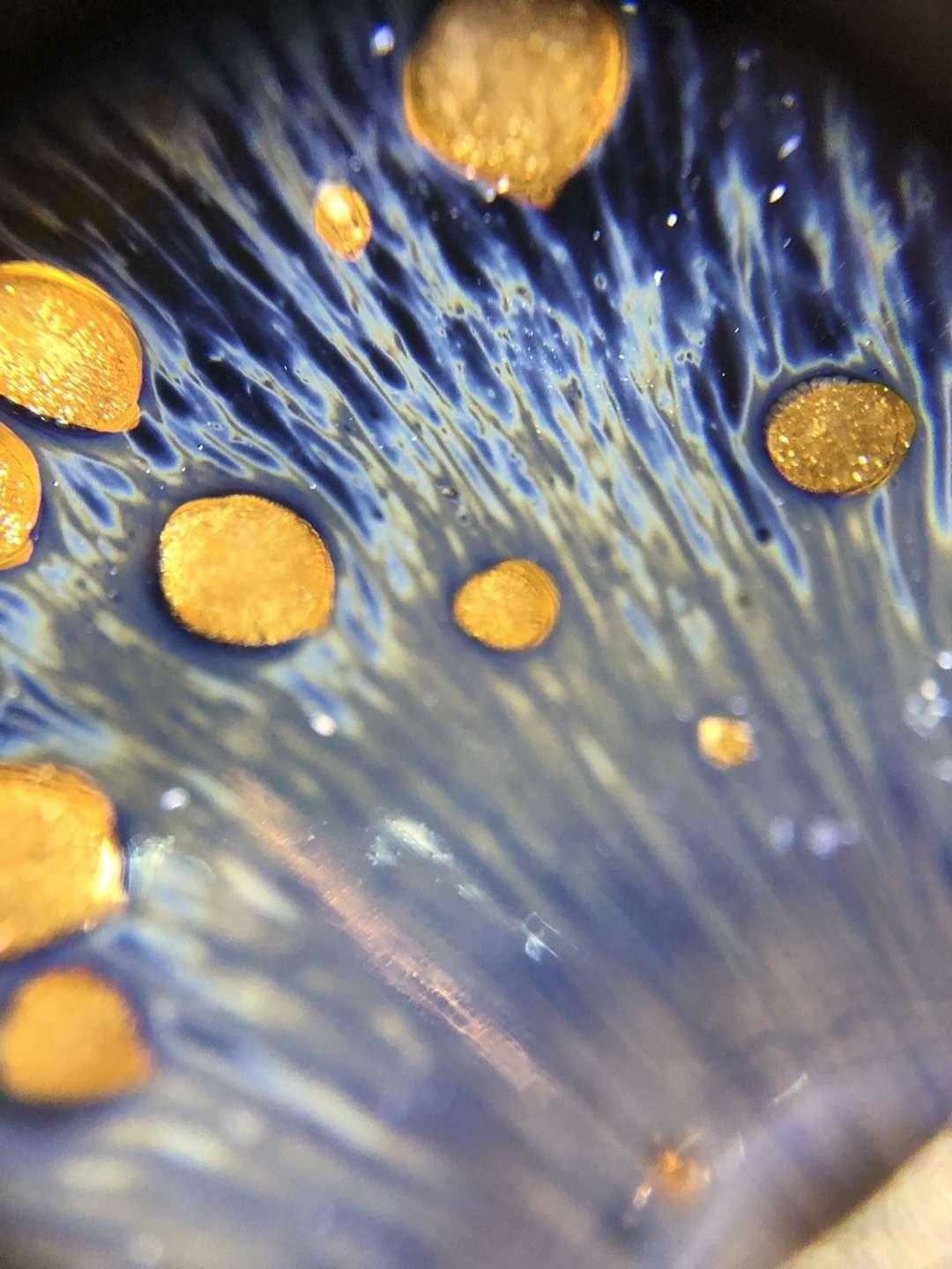 mmexport1550820403390