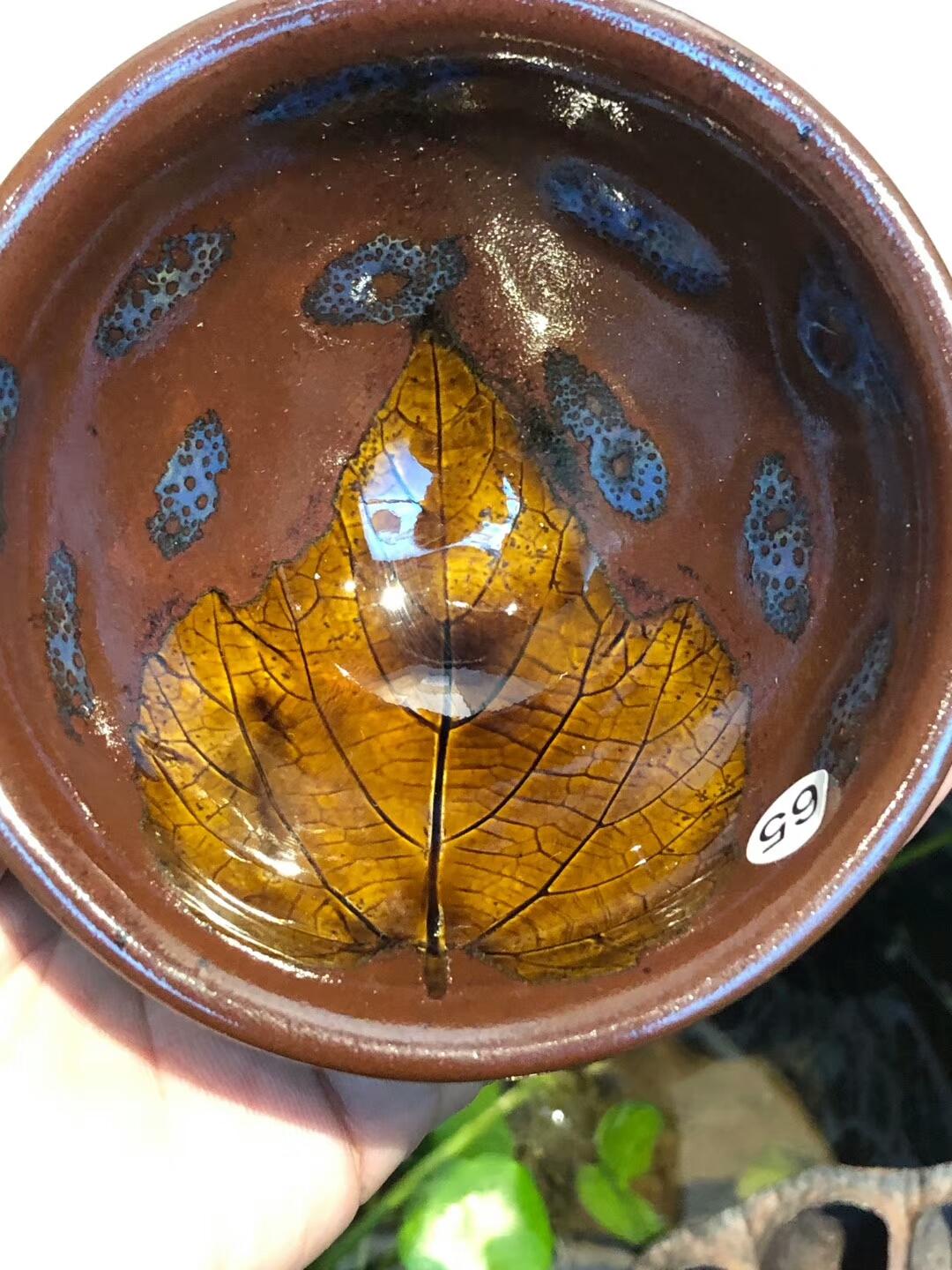 mmexport1554432073131