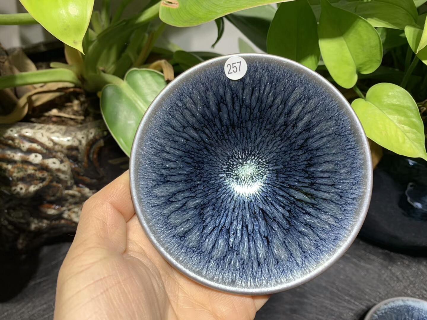 蔡龍老師?一生鉆研一款  百花款創(chuàng)始人