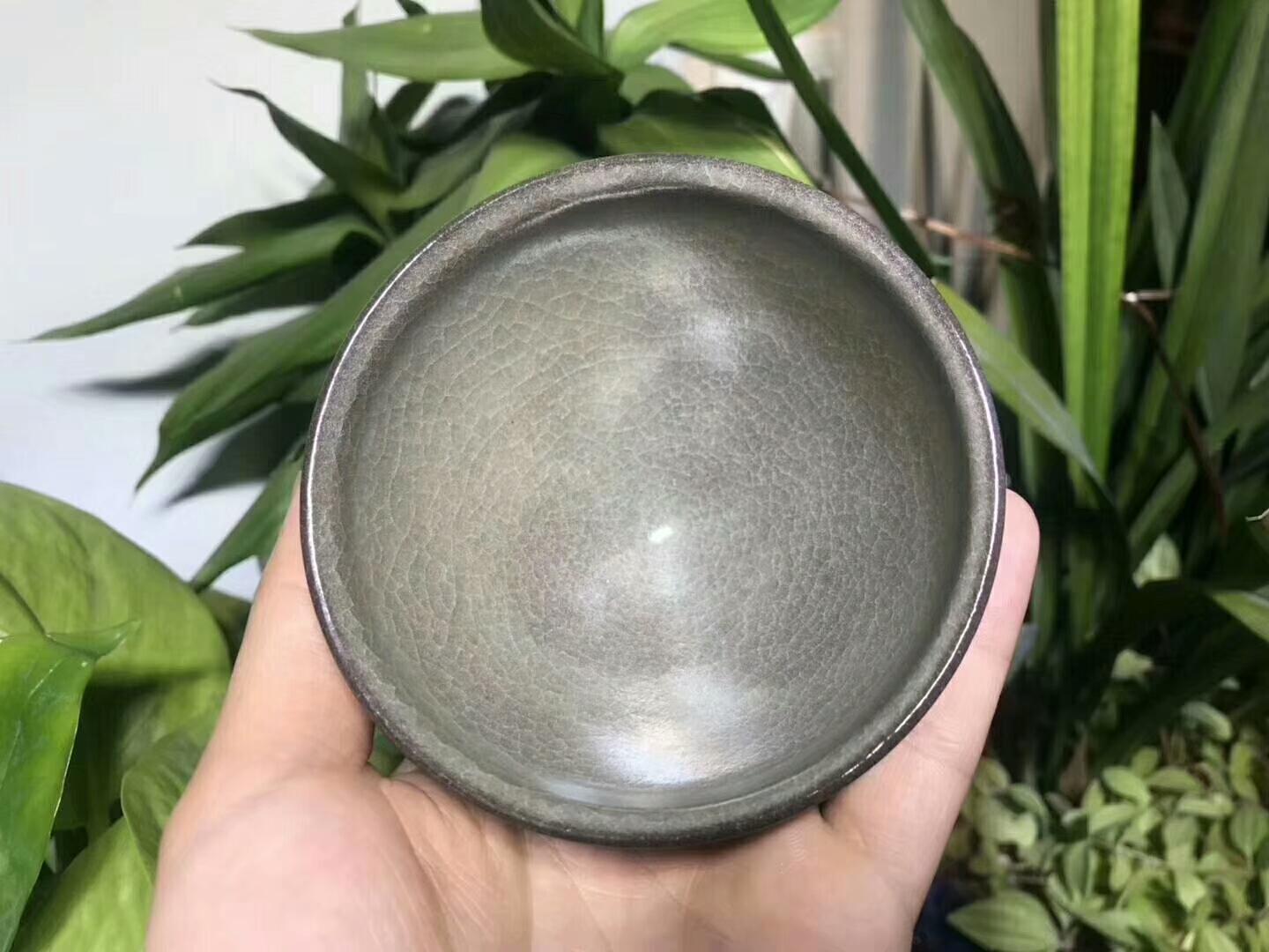 mmexport1554947631728