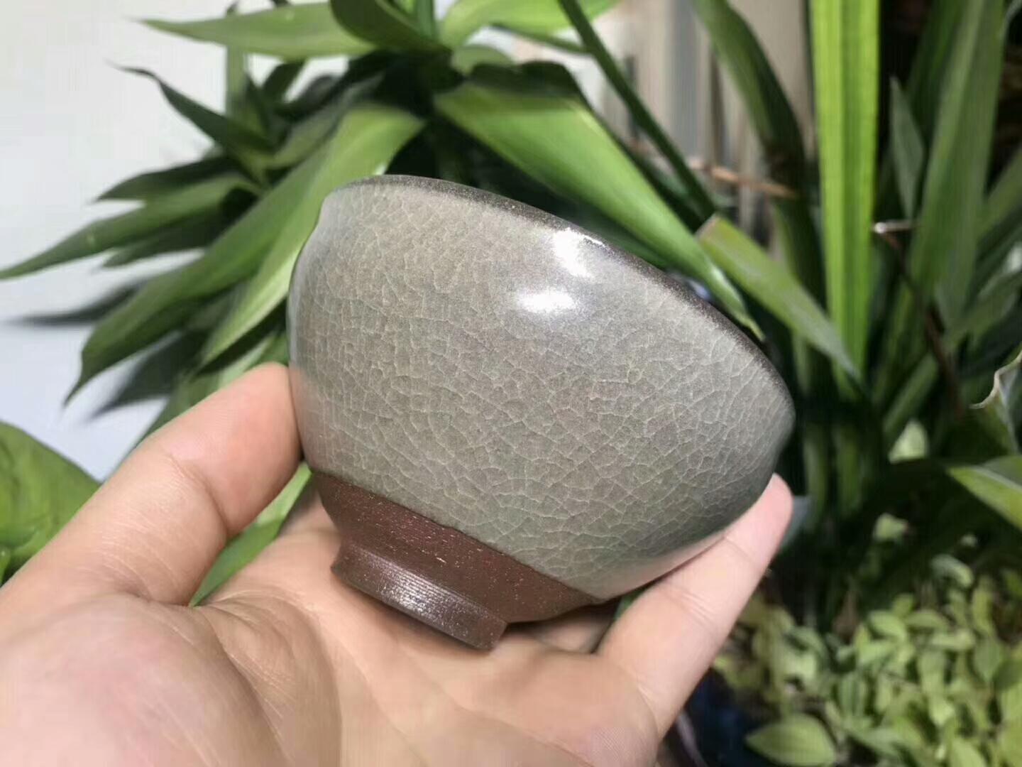 mmexport1554947638555