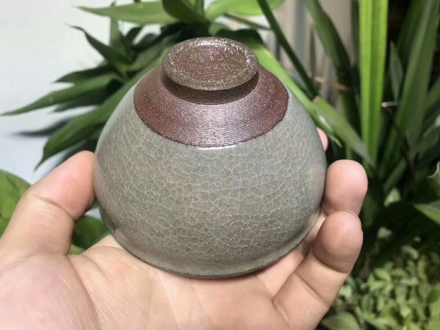 mmexport1554947643052