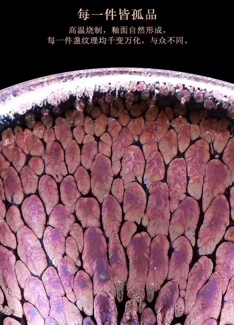 mmexport1555231312148