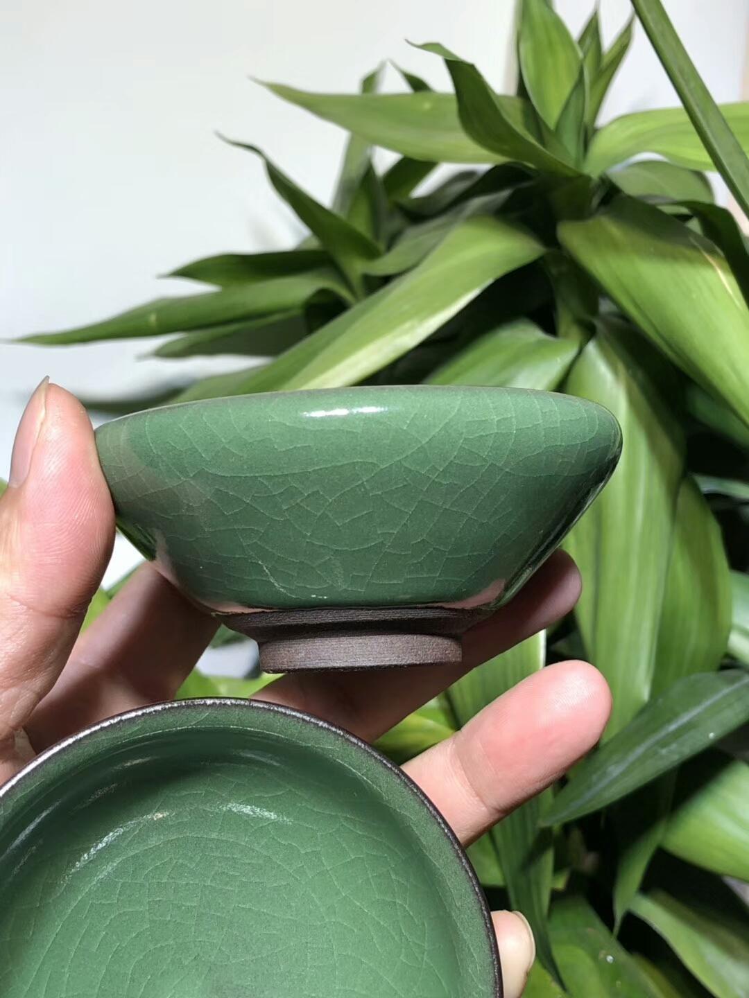 mmexport1555231540015