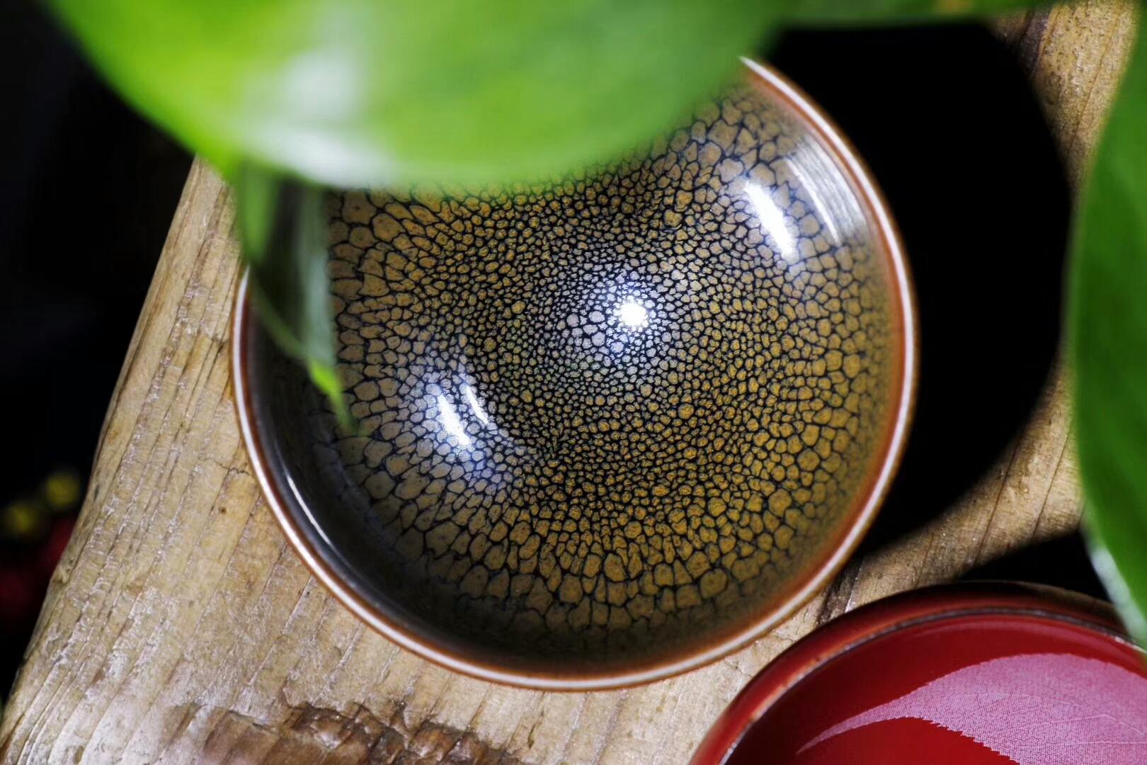 mmexport1555749741805