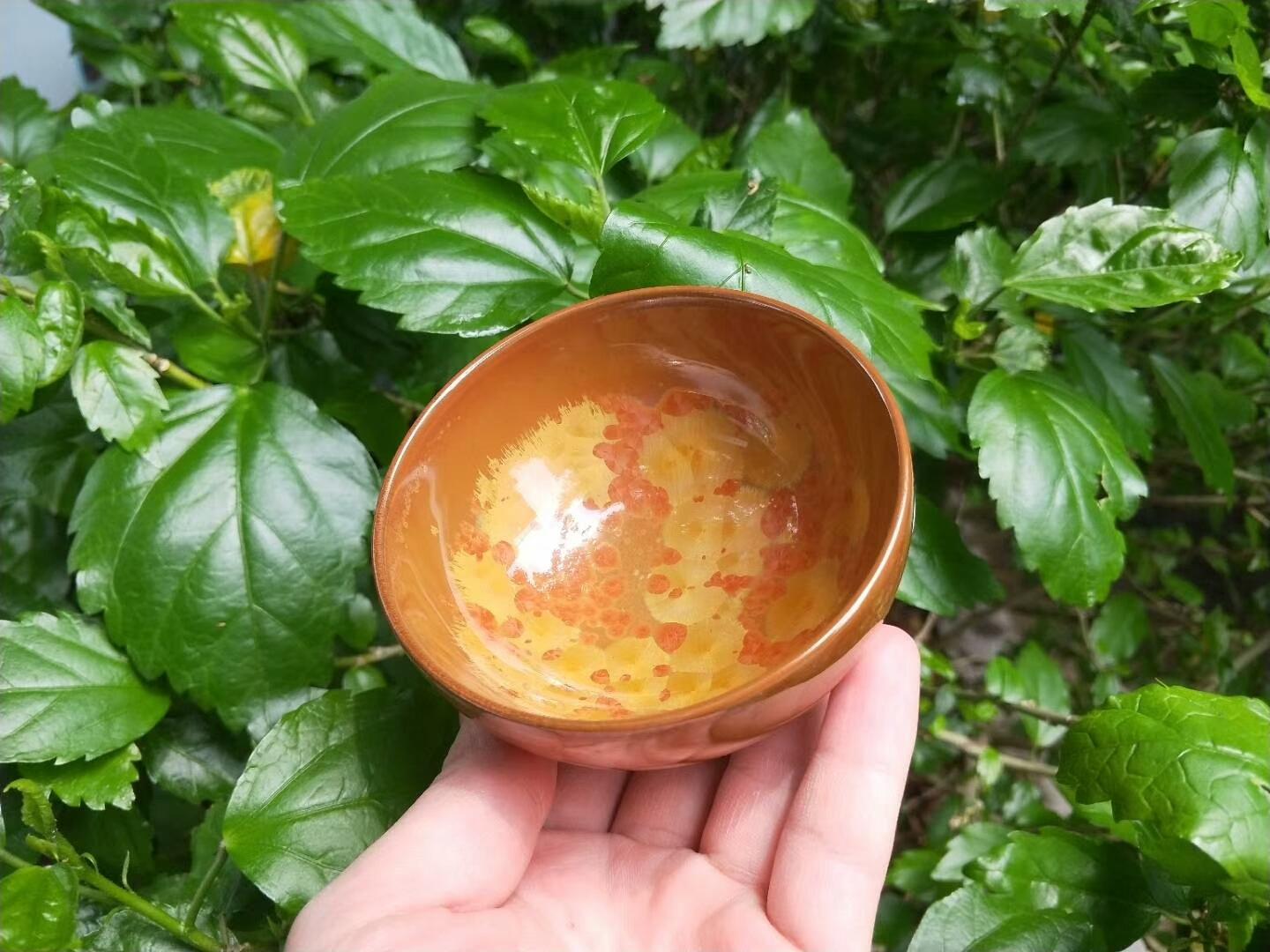 mmexport1555825425947