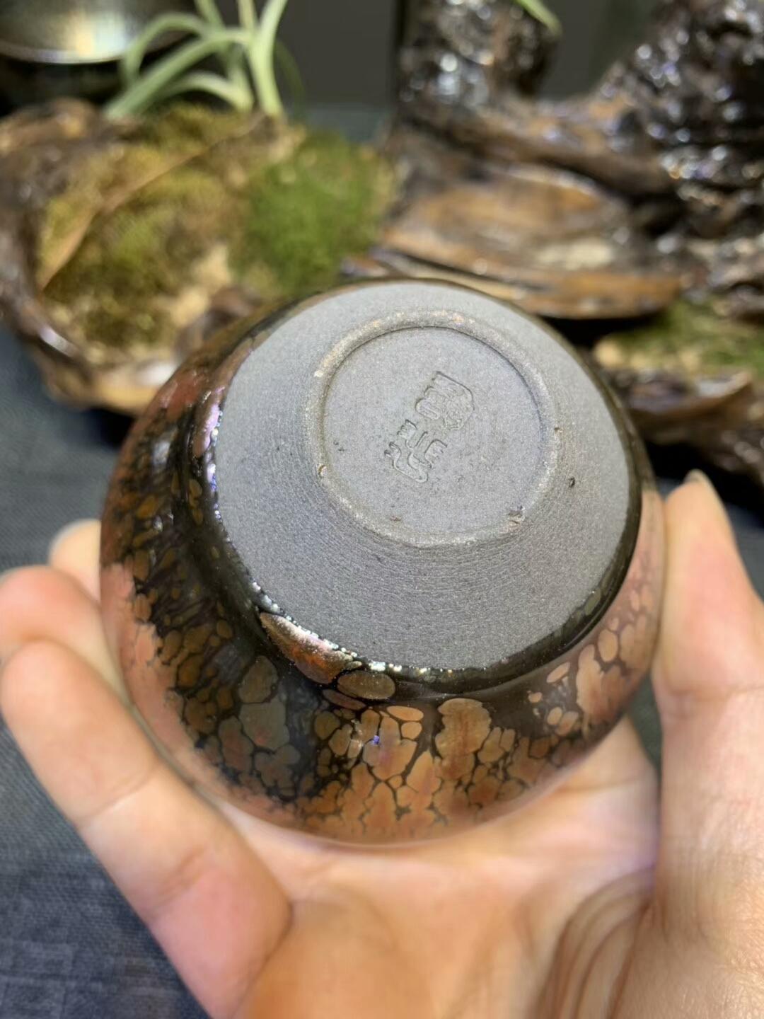 mmexport1556952553524