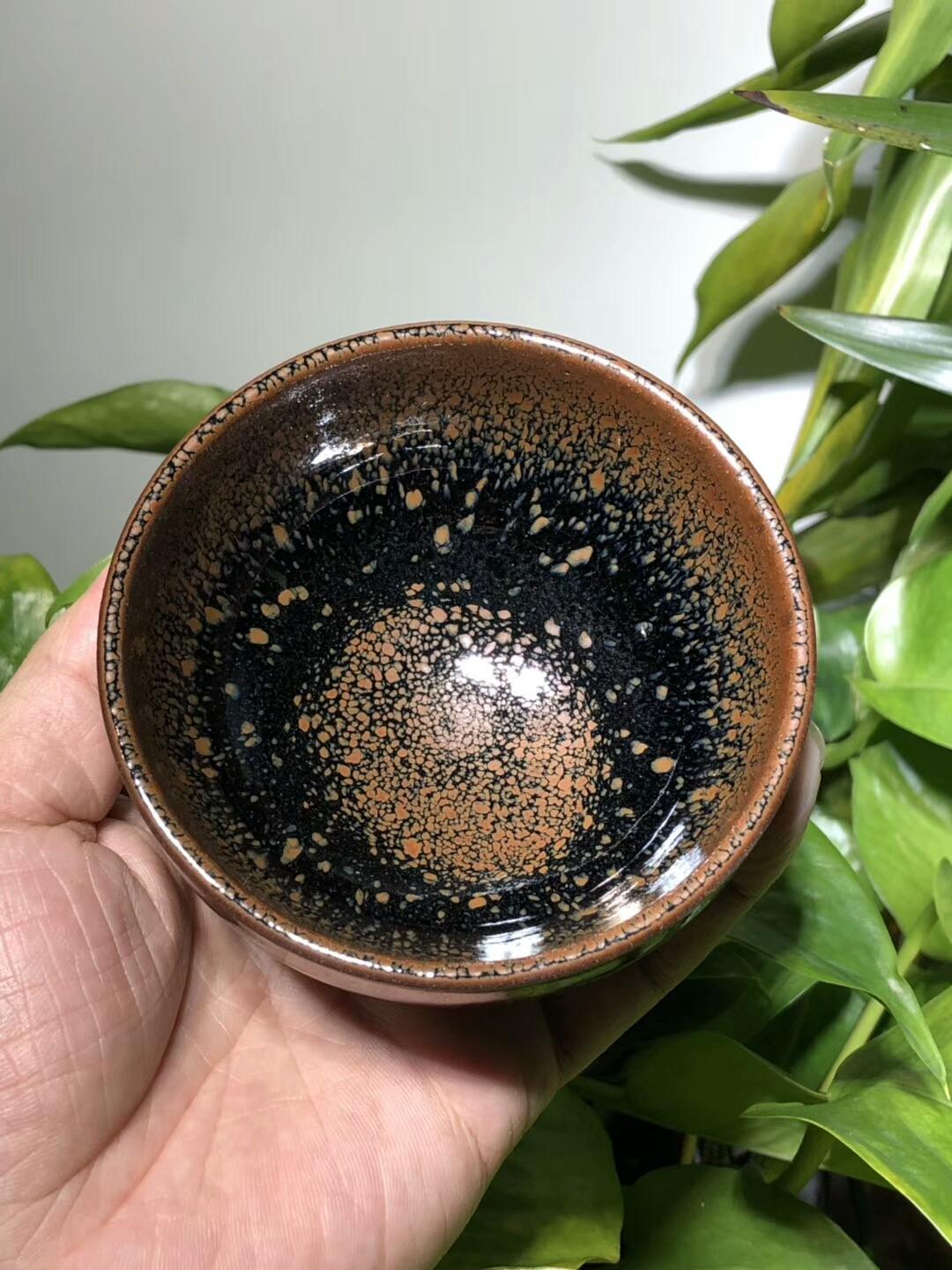 mmexport1559195700431