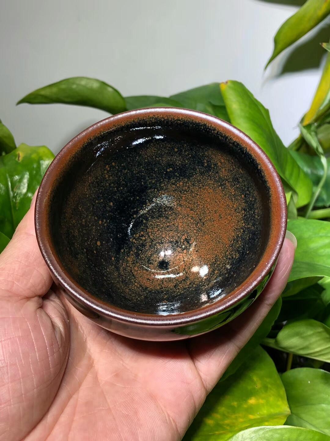 mmexport1559195705760