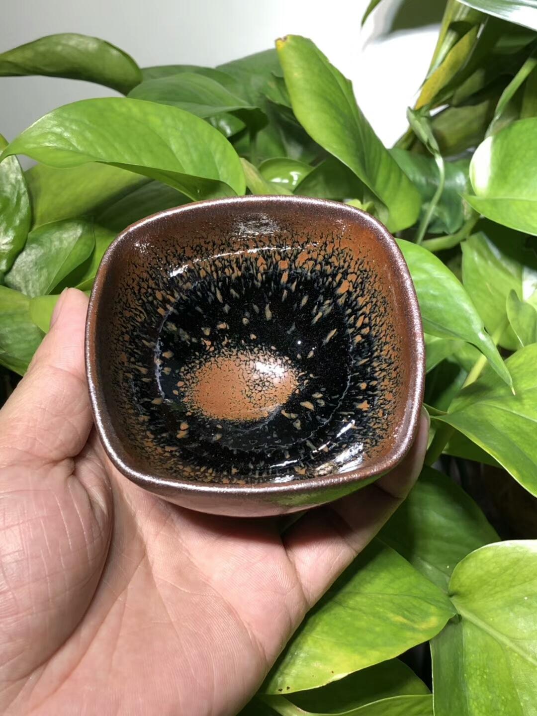 mmexport1559195716550