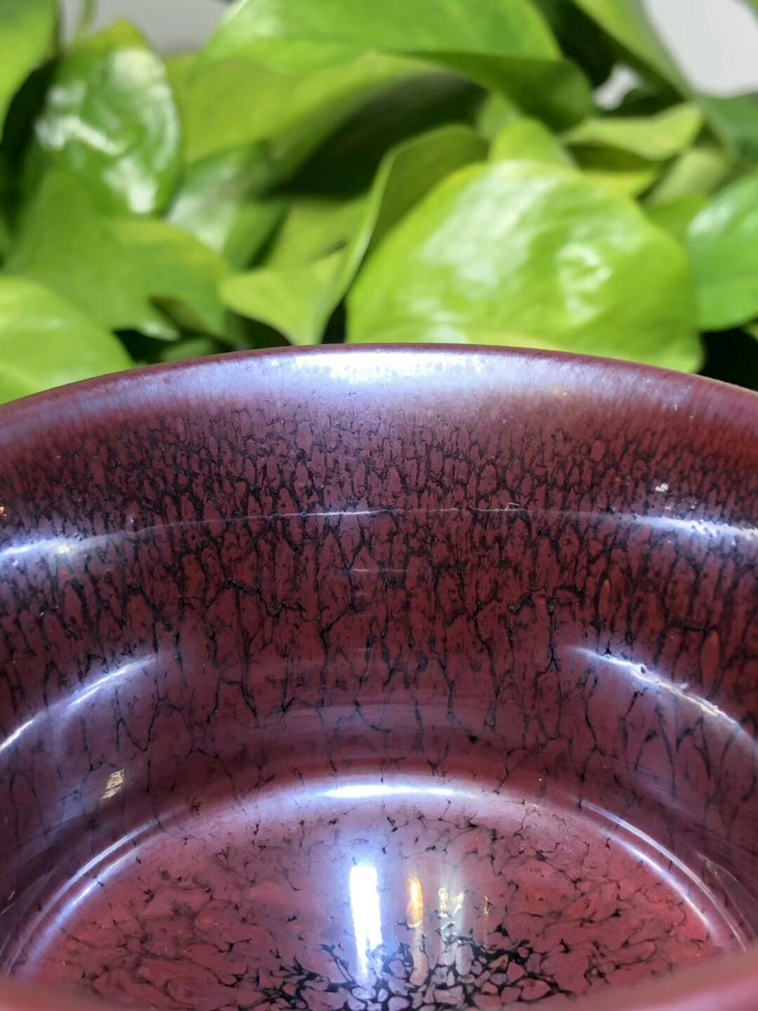 mmexport1559542631940