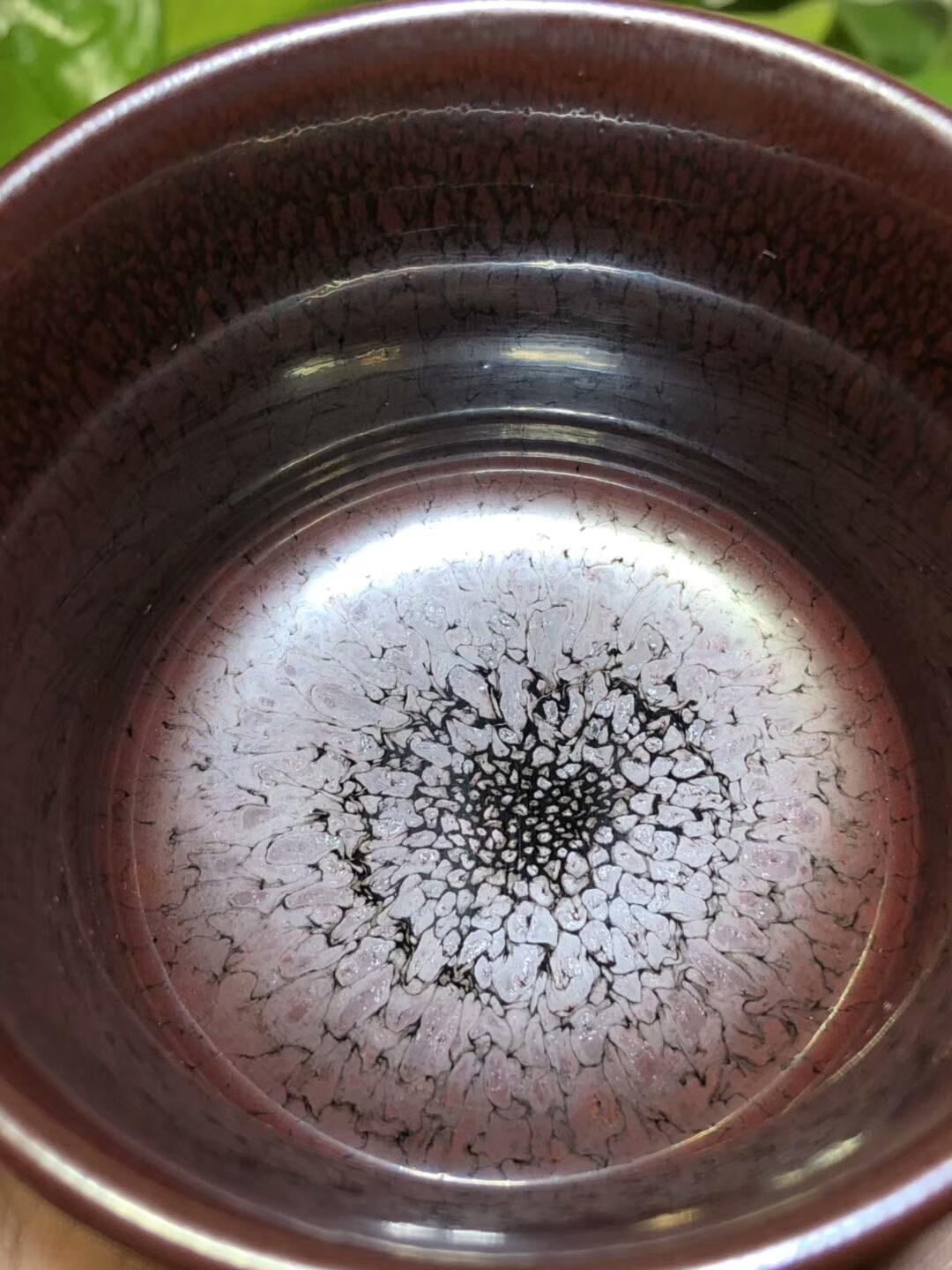 mmexport1559542636638