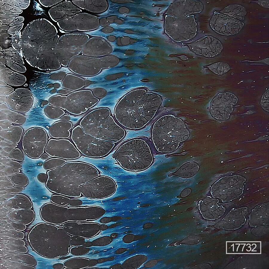 mmexport1559546116700