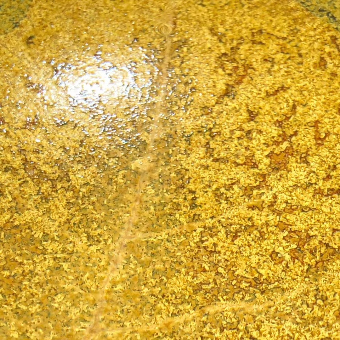 mmexport1590736536896